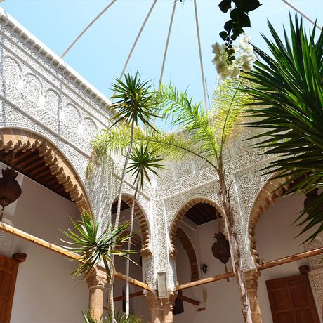 csm_riad-kalaa-patio-pflanze_01_80cf1b4b40